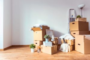 Removalist Service